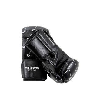 Боксерские перчатки FILIPPOV