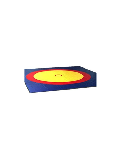 Борцовский ковер «Стандарт» 8×8 м, маты 5см, 3-х цветный, крепление «карман»